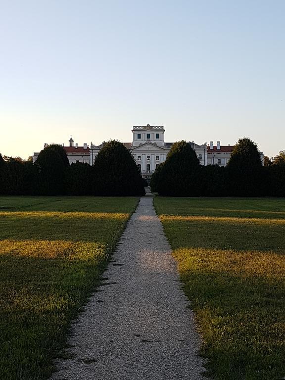 Fertődi Kúria Vendégház Extérieur photo
